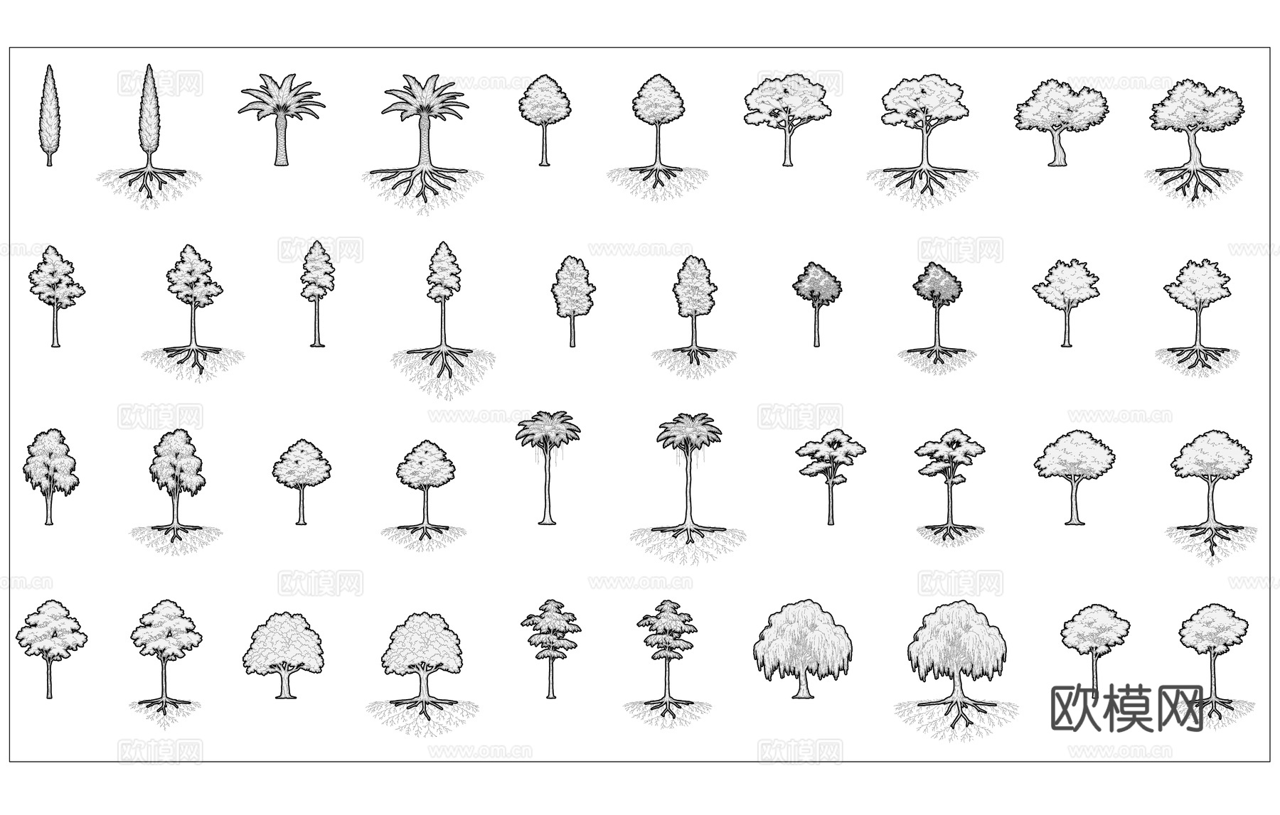 有根植株 宿根植物 带根草木 根系绿植 植根草木cad施工图