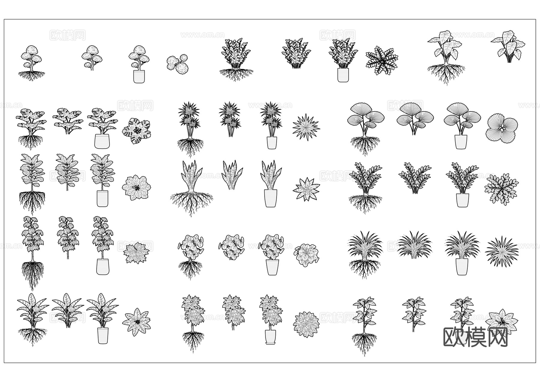 带根盆栽 有根绿植 原根盆栽 带根花植 宿根盆栽cad施工图