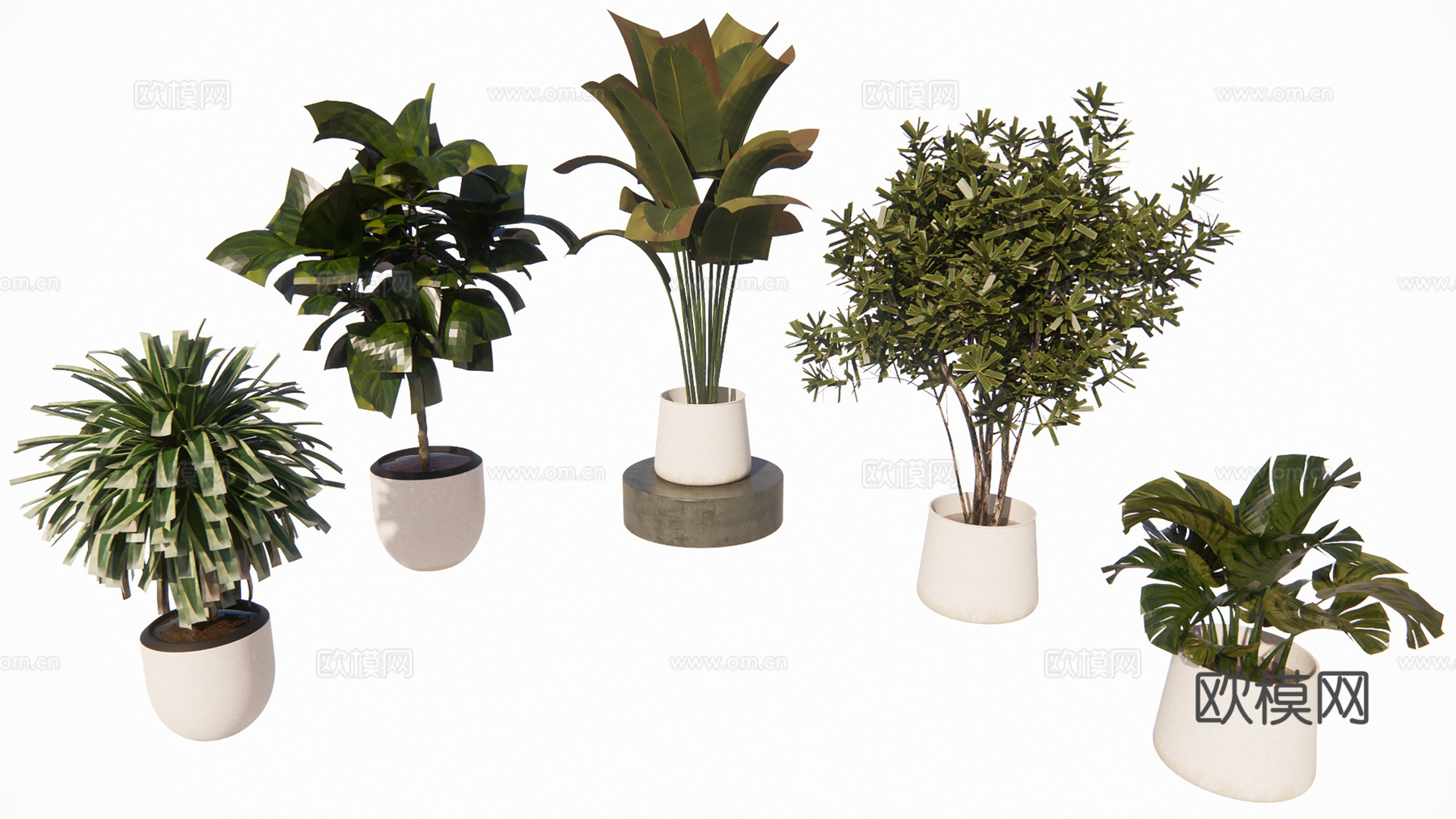 盆栽景观绿植su模型