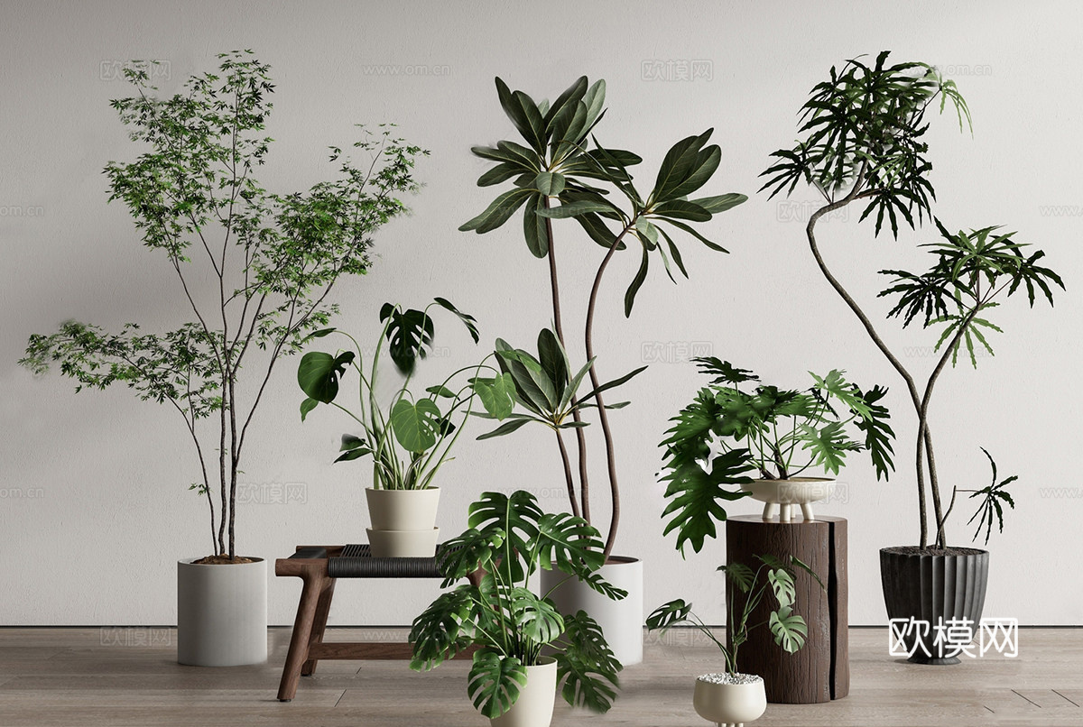 绿植盆栽 盆景 组合su模型