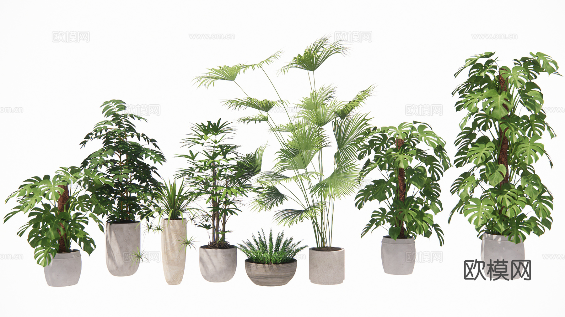 盆栽景观绿植su模型