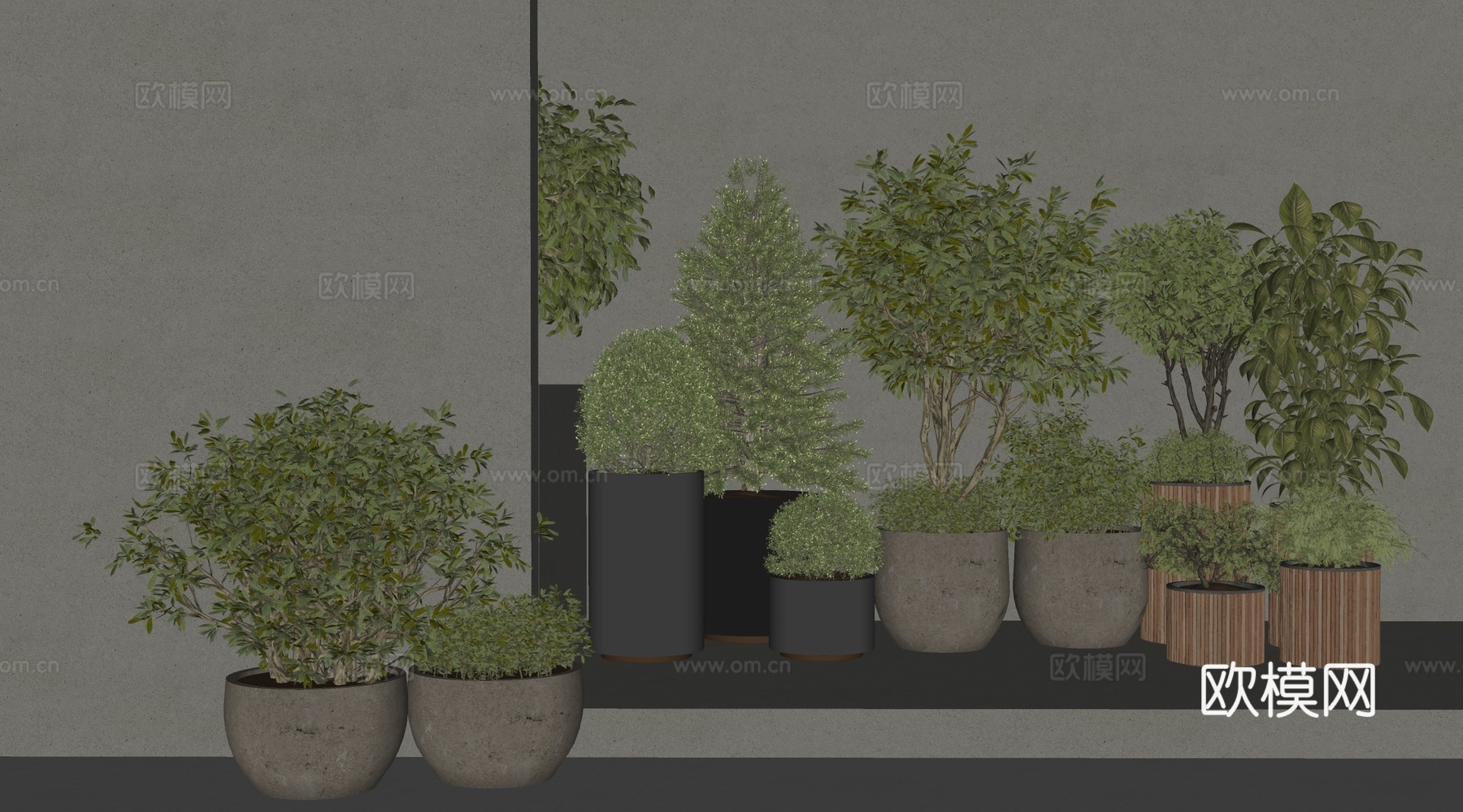 现代盆栽组合 灌木 室内植物盆栽组合su模型