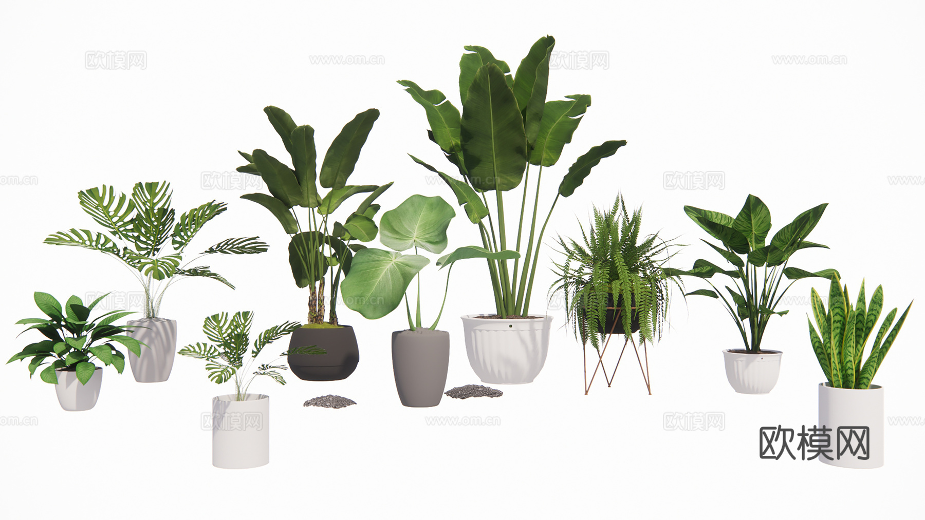 盆栽景观绿植su模型