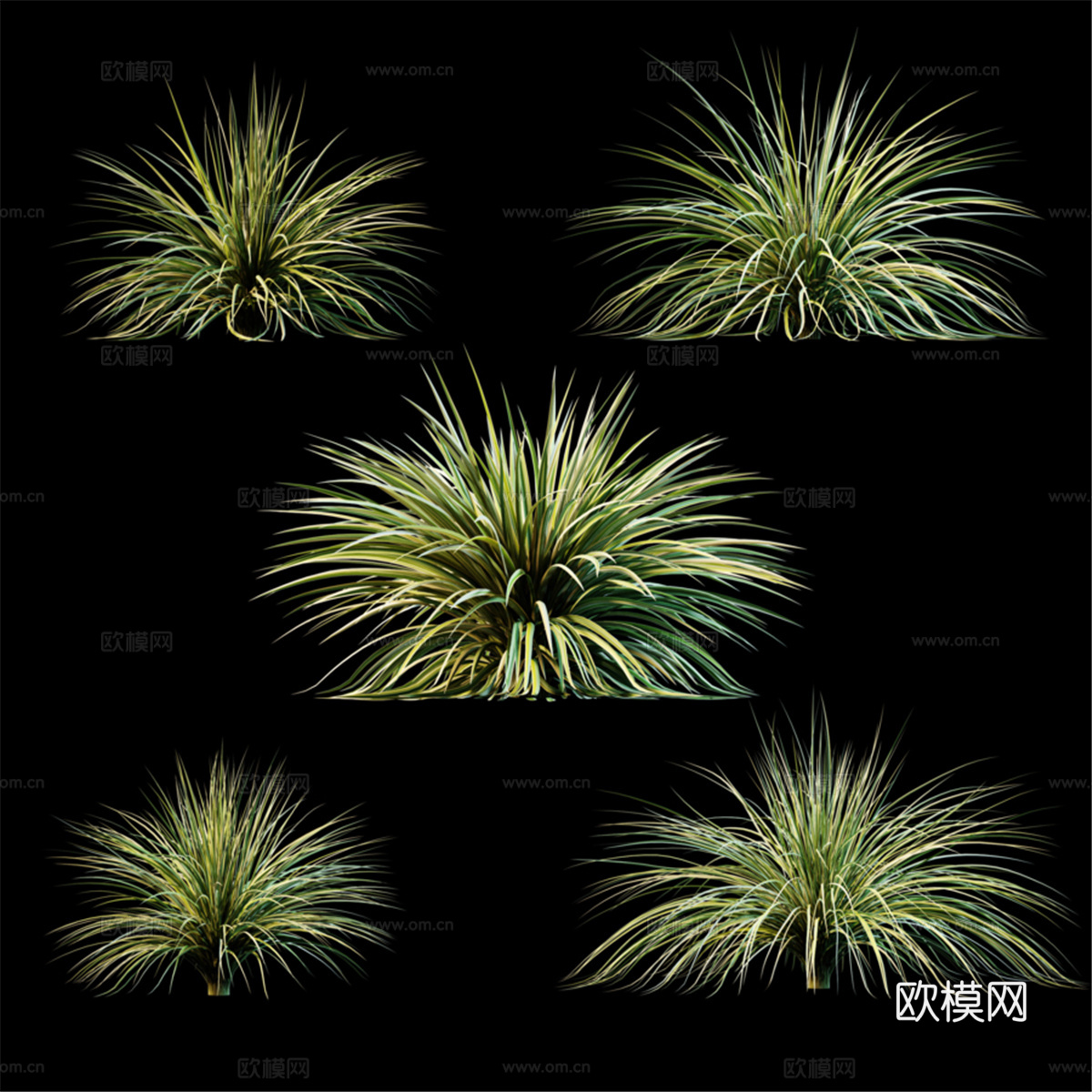 户外植物 v33d模型