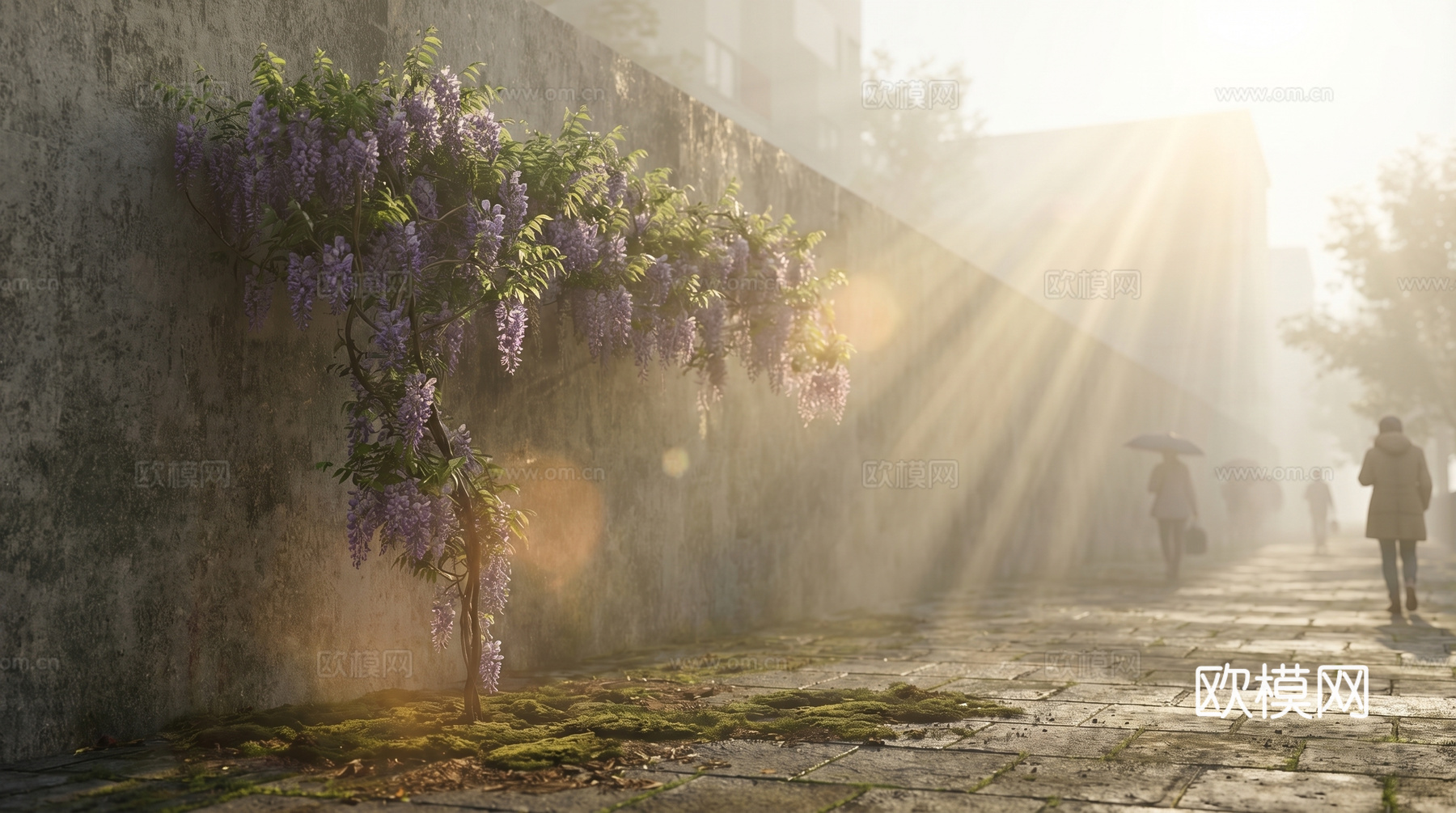 花朵  藤蔓  牵牛花su模型