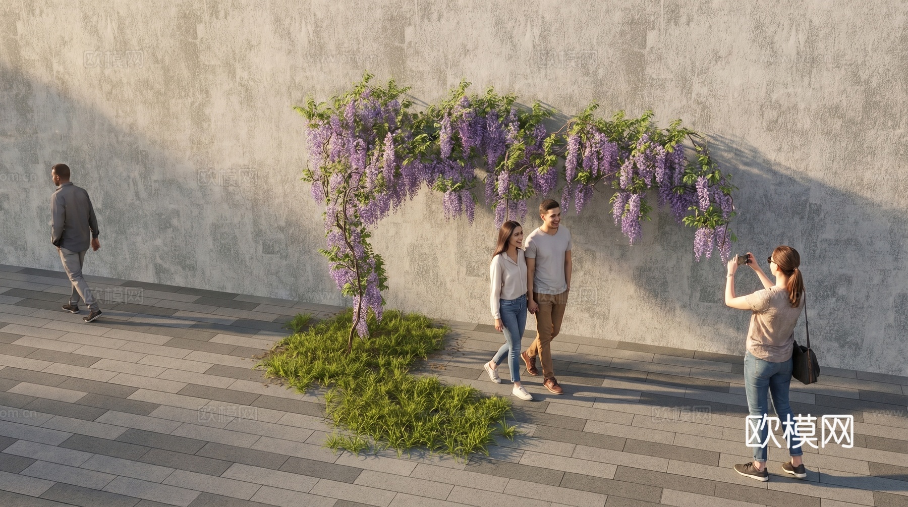 花朵  藤蔓  牵牛花su模型