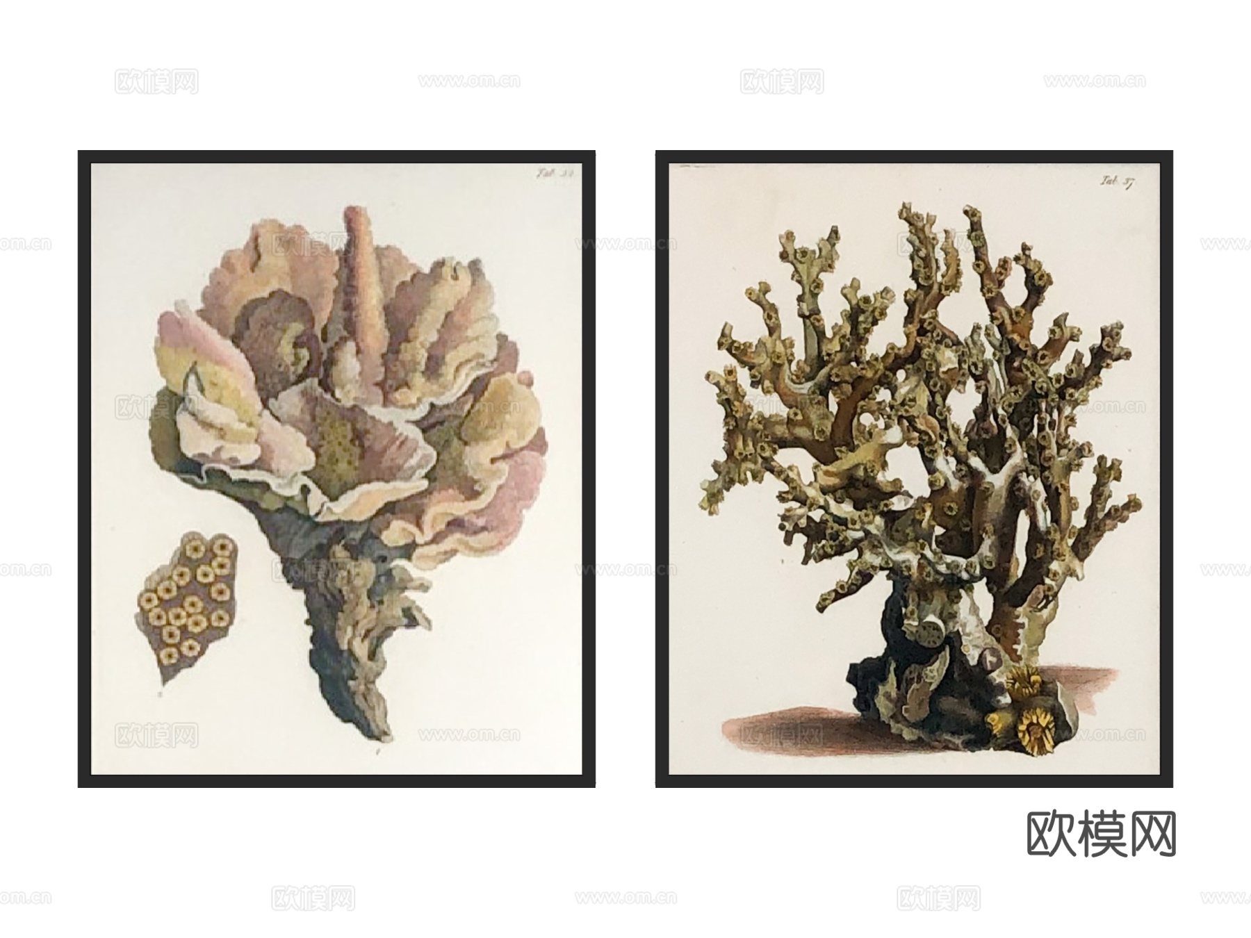 挂画 装饰画su模型