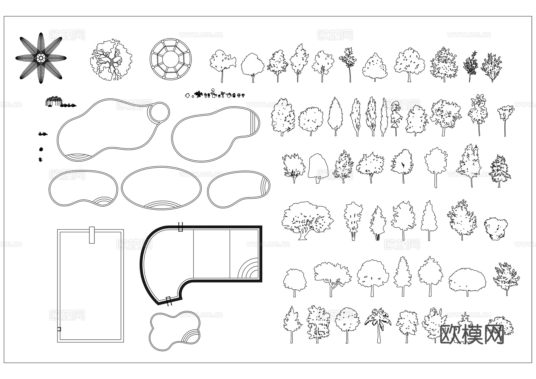 绿化植物 造景绿植 园林植物 景观绿植 庭院绿植cad施工图