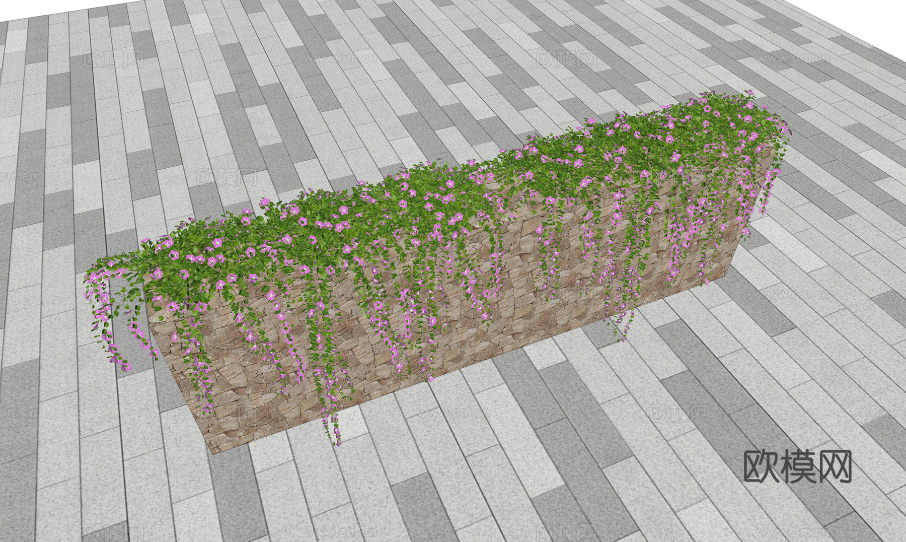 花朵  藤蔓  牵牛花su模型