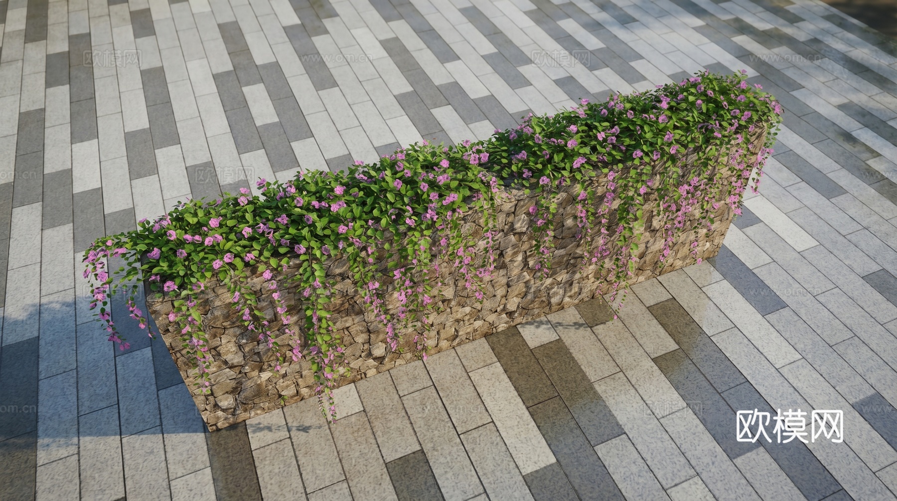 花朵  藤蔓  牵牛花su模型