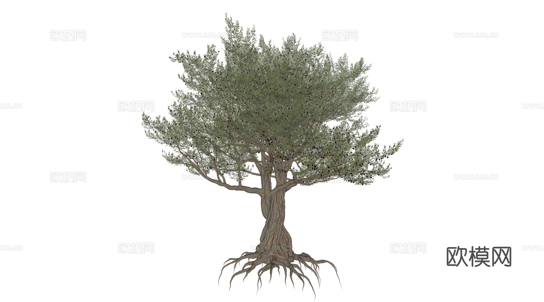 乔木 古树 参天古树su模型