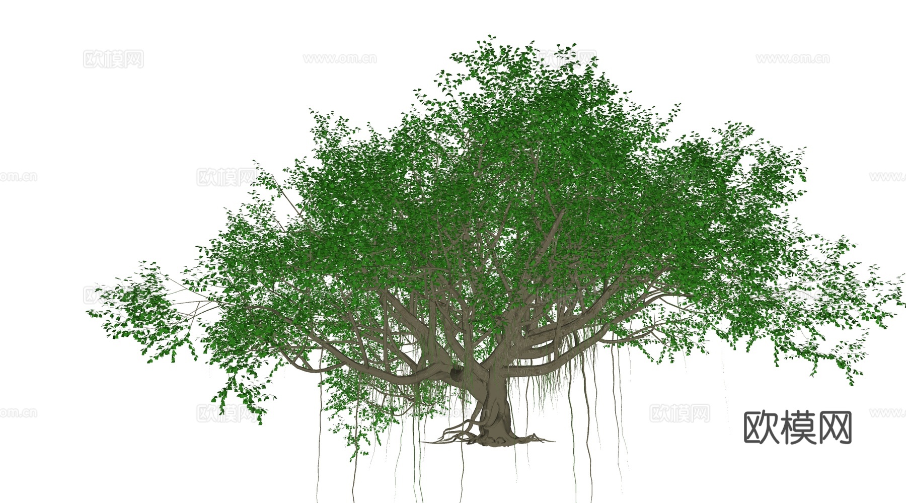 现代古树 枯藤老树昏鸦su模型