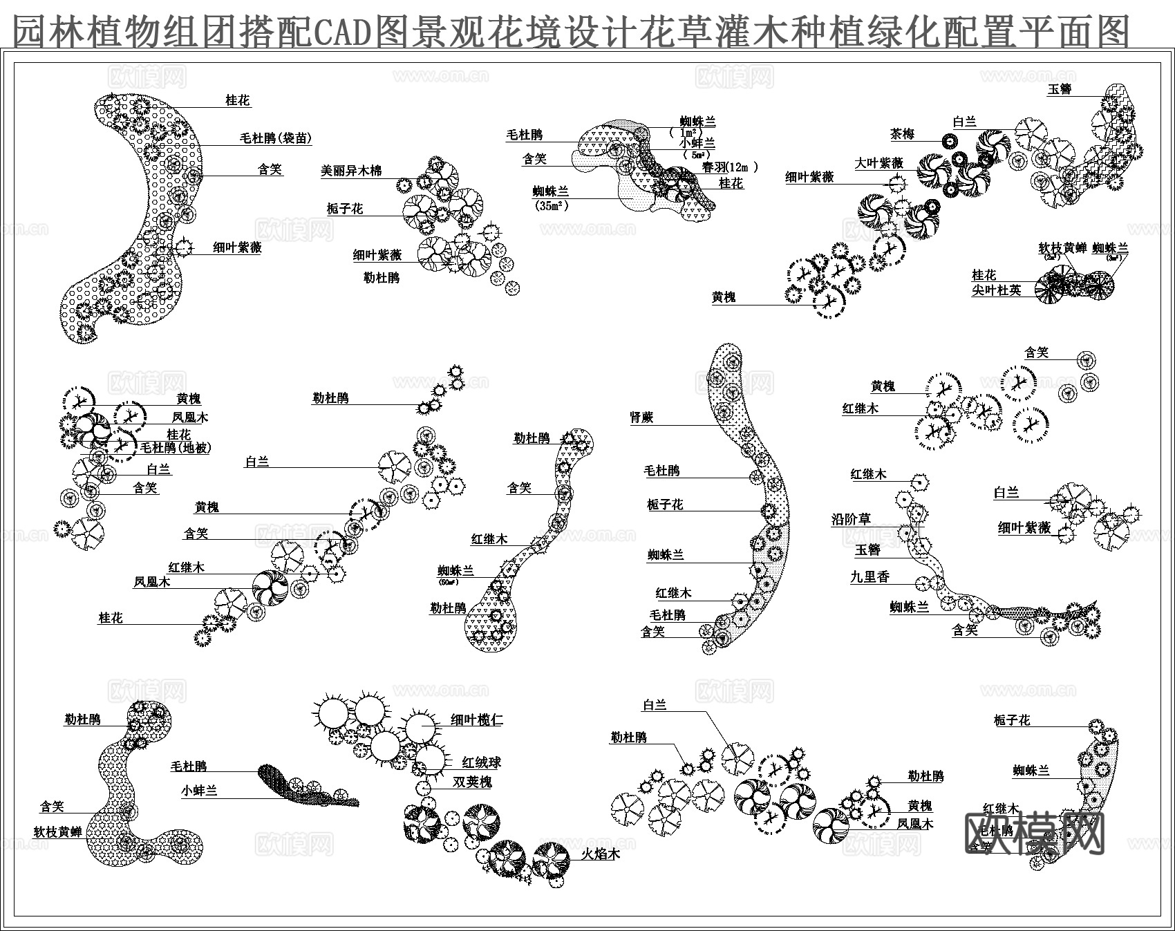 园林植物组团搭配CADcad施工图