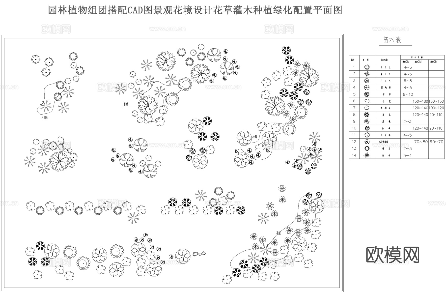 园林植物组团搭配CADcad施工图