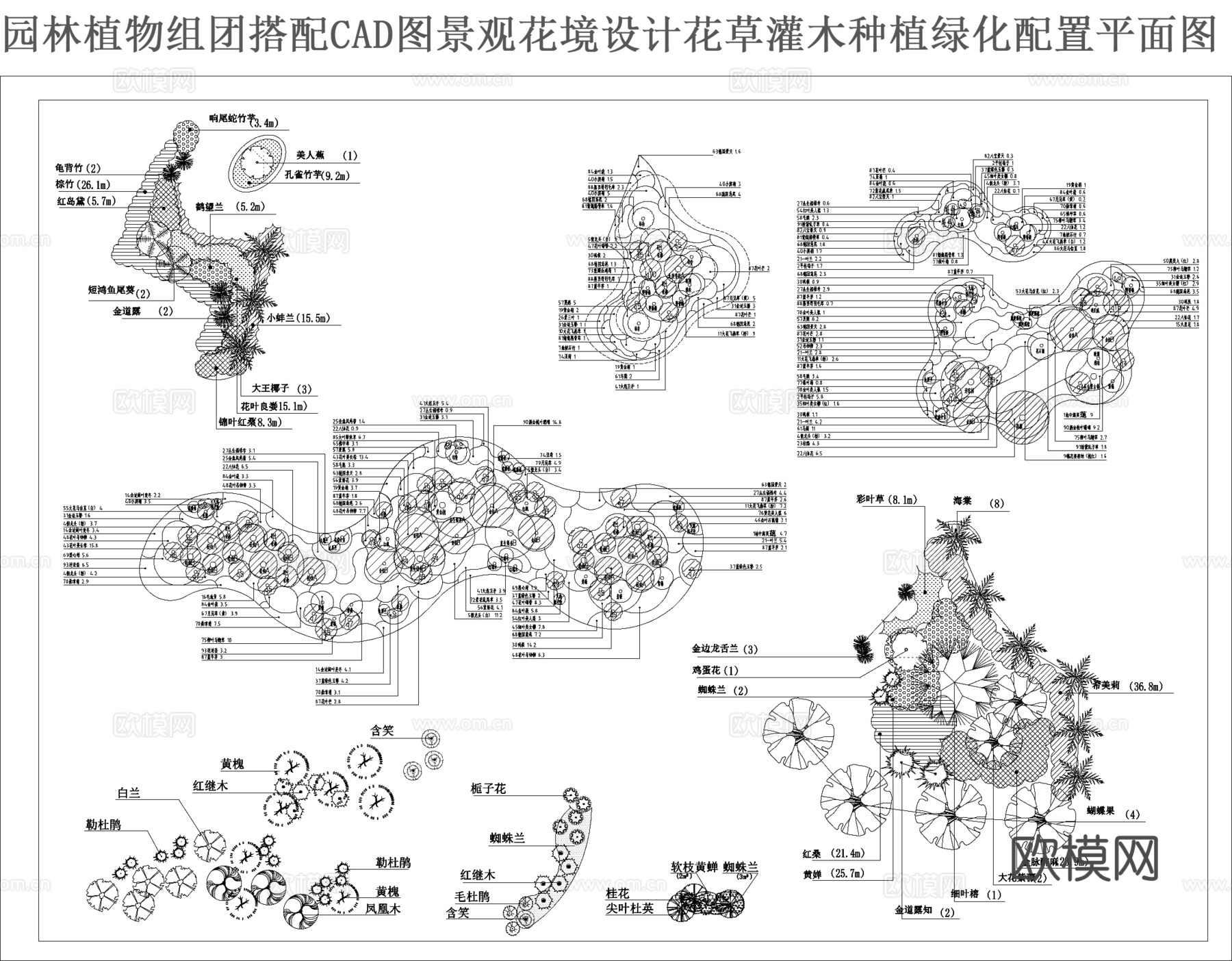 园林植物组团搭配CADcad施工图