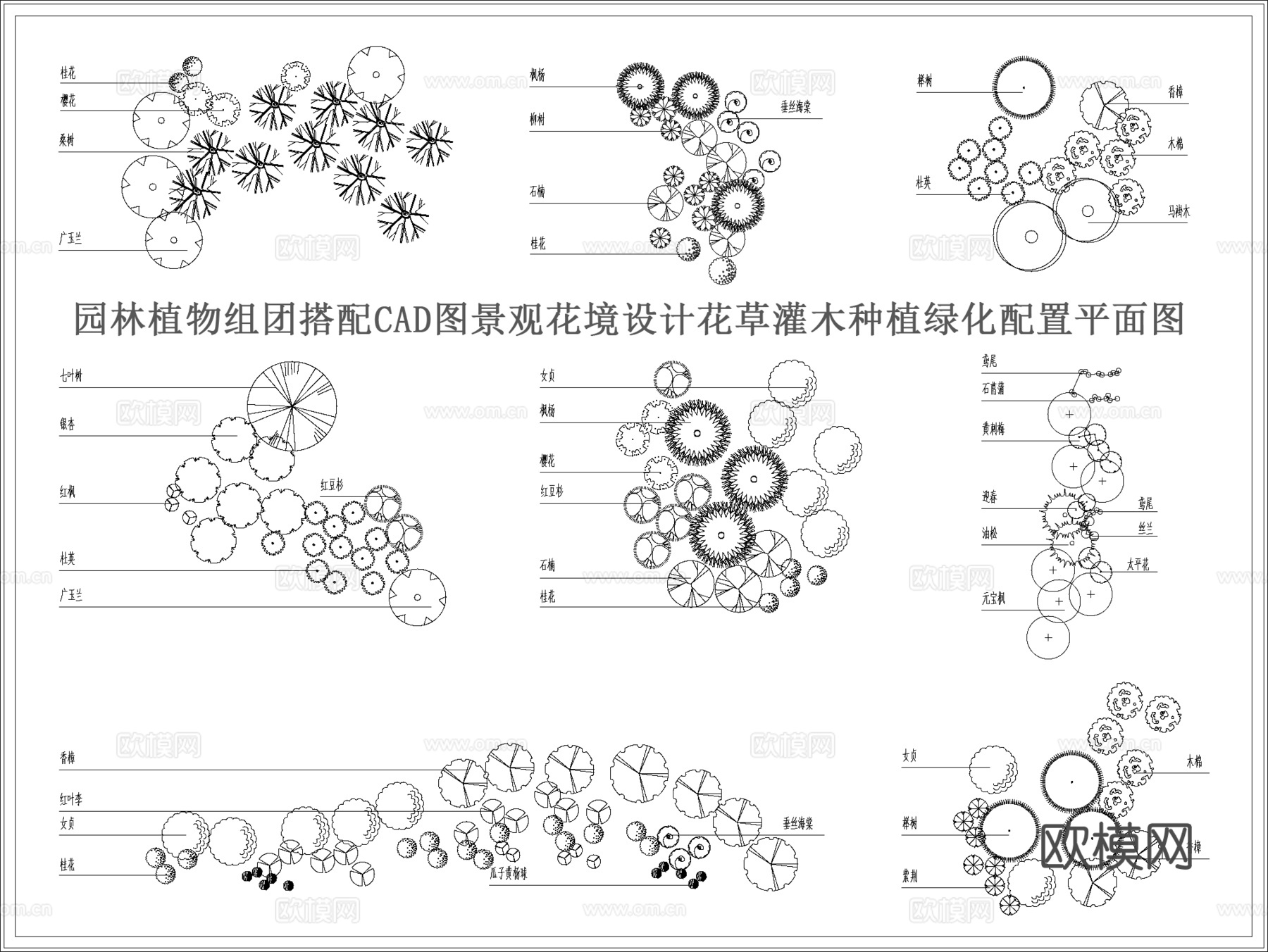 园林植物组团搭配CADcad施工图