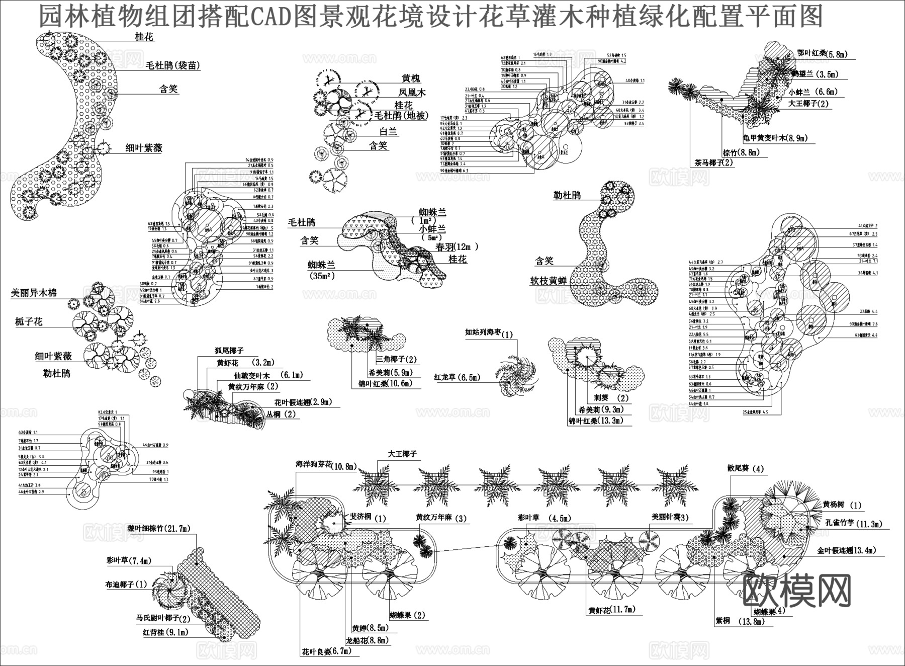 园林植物组团搭配CADcad施工图