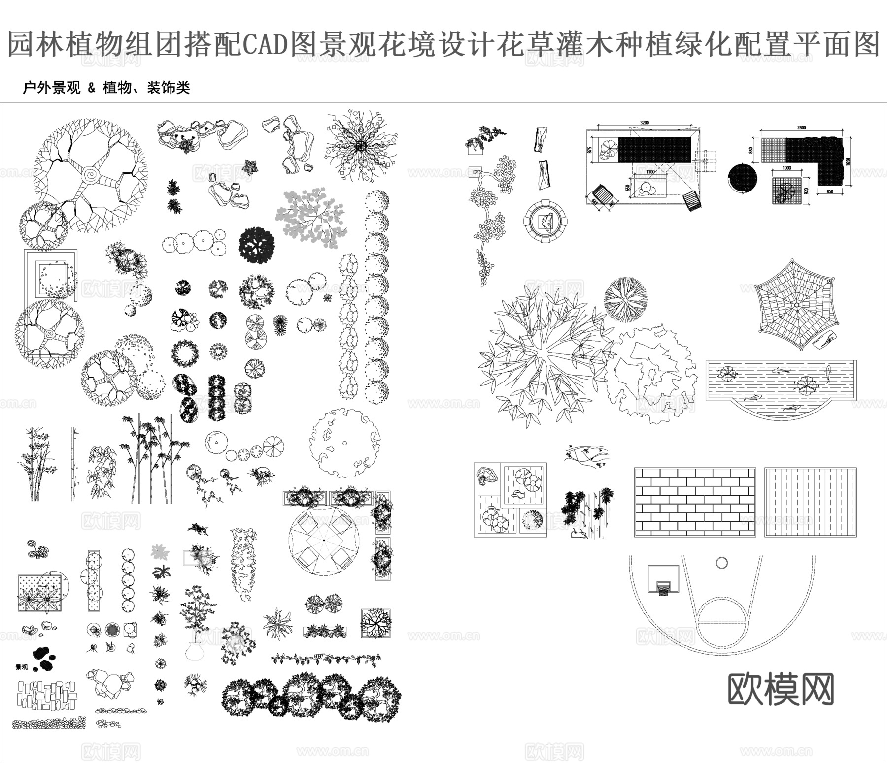 园林植物组团搭配CADcad施工图