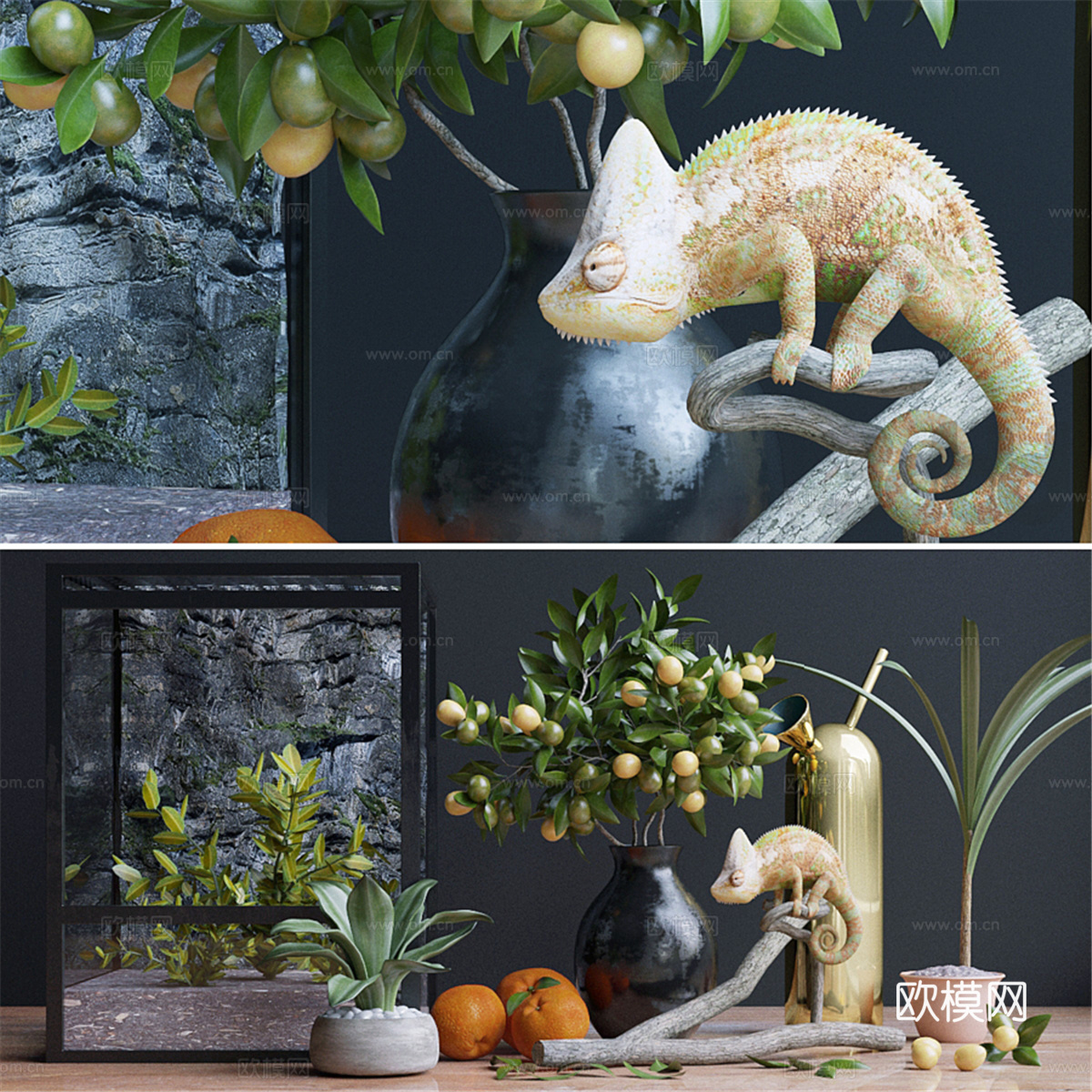 装饰套装， 变色龙3d模型