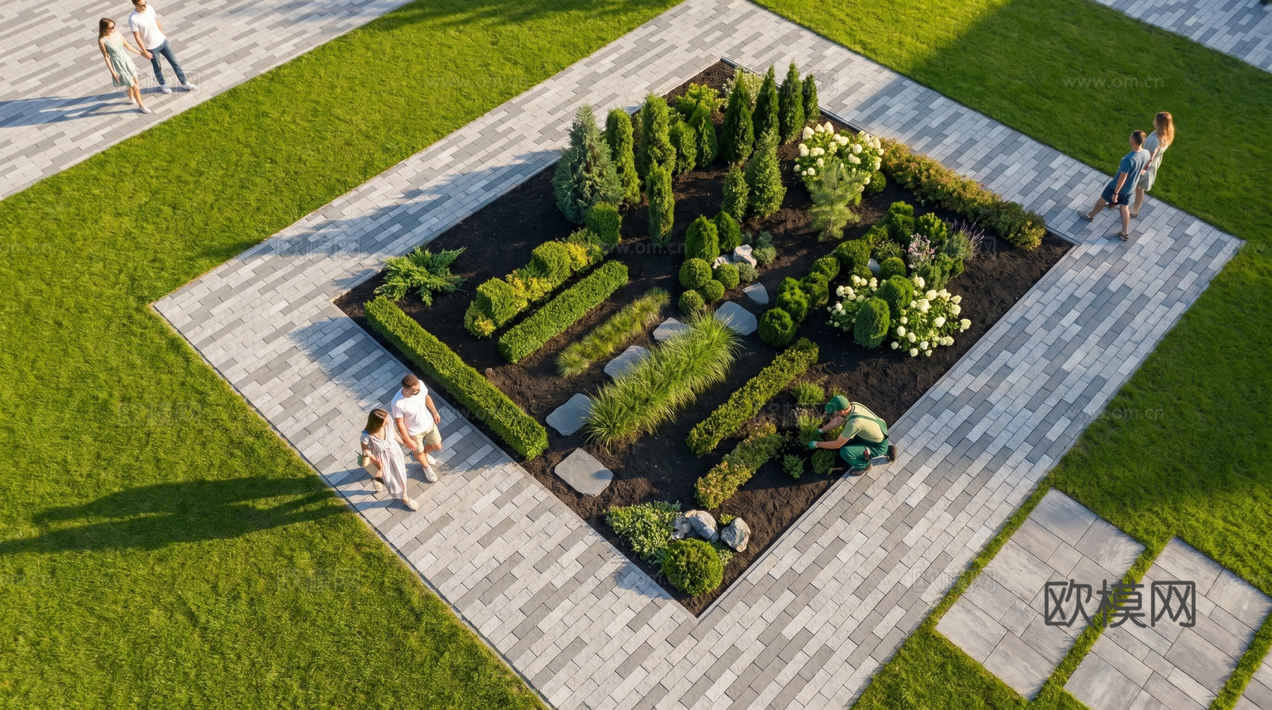 景观植物  绿篱  乔木  灌木su模型