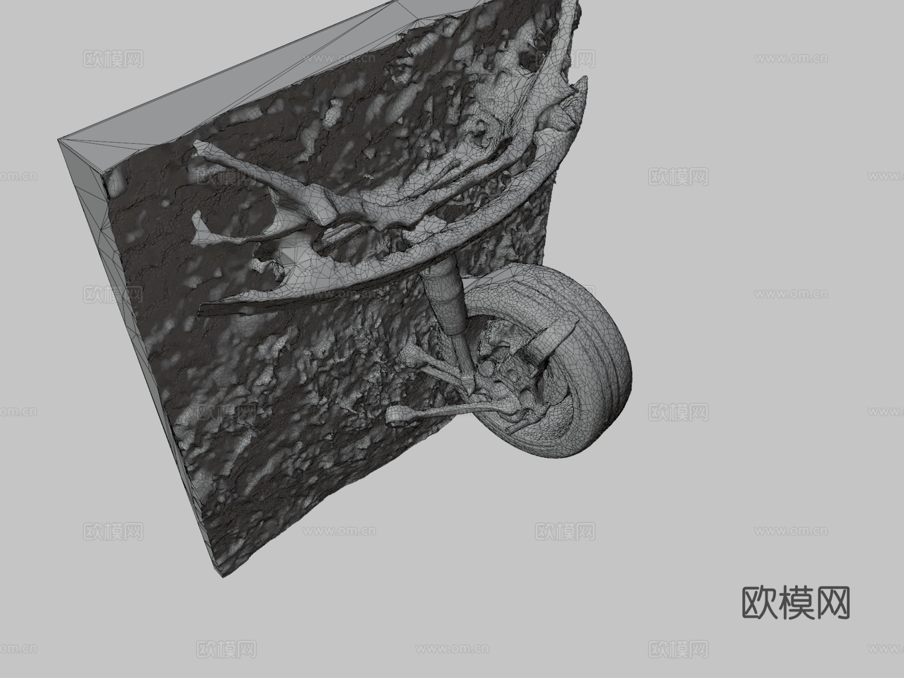 碰撞特斯拉Model Ssu模型