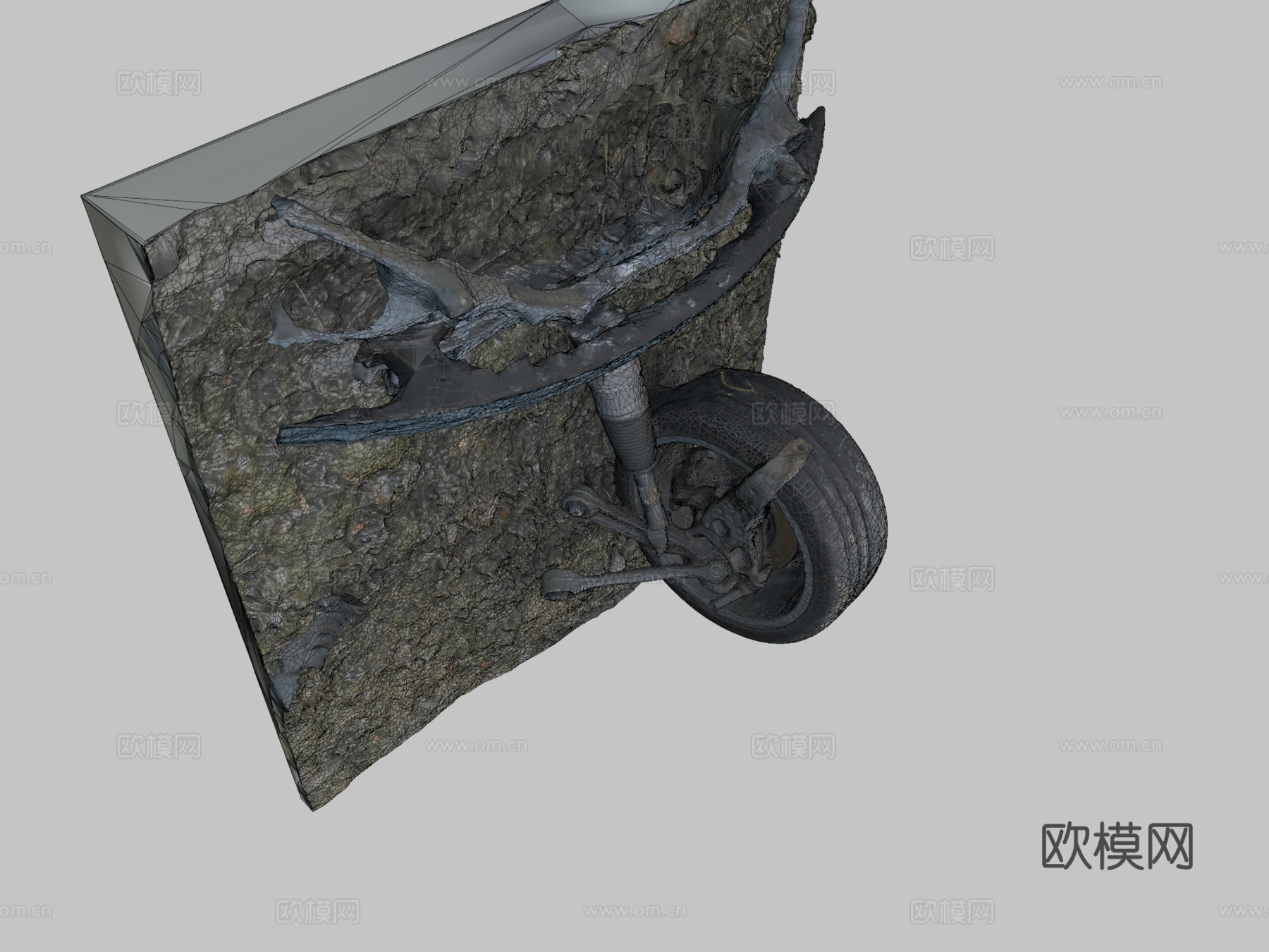 碰撞特斯拉Model Ssu模型