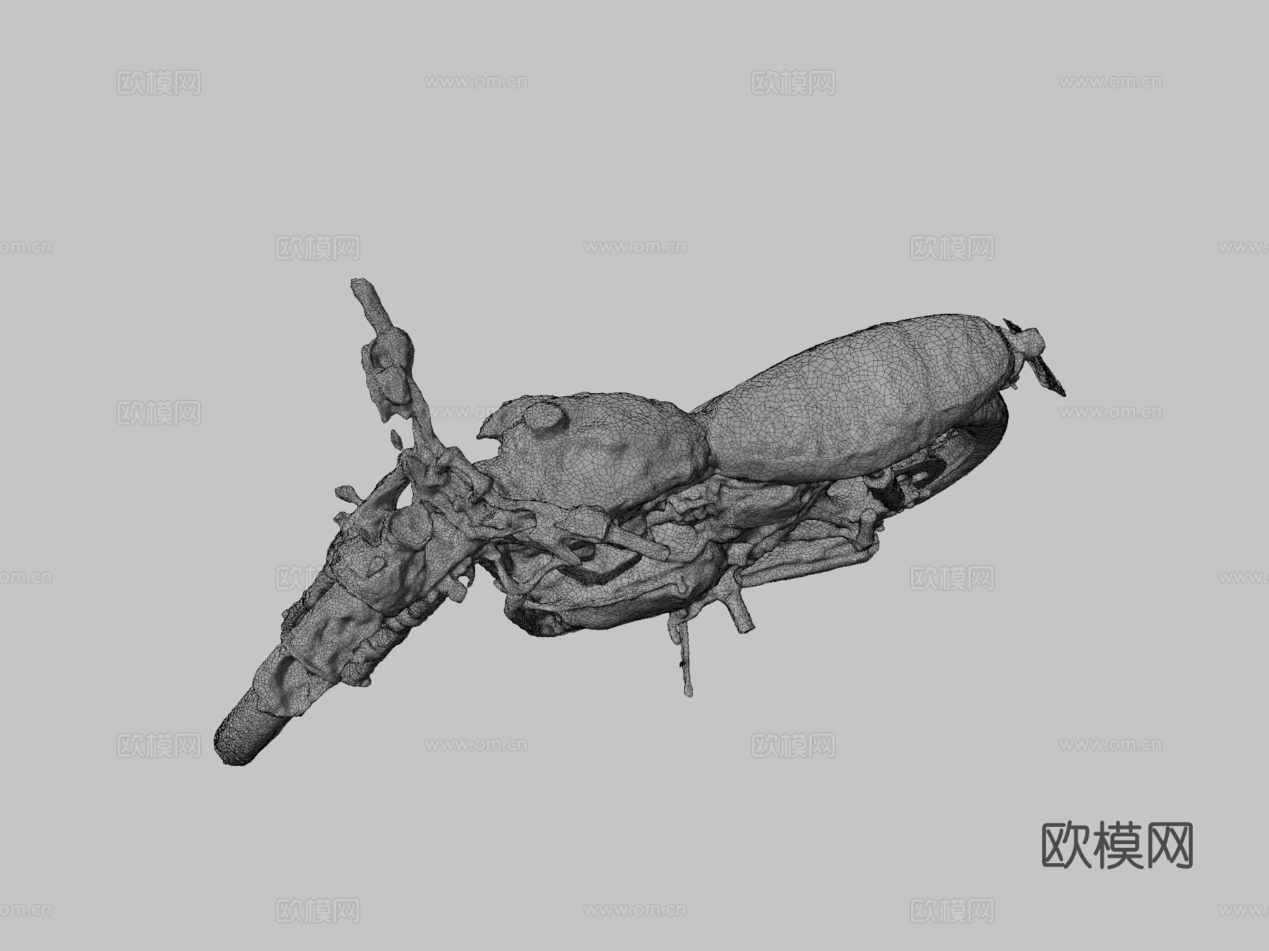 凯旋摩托车阿尔班1su模型