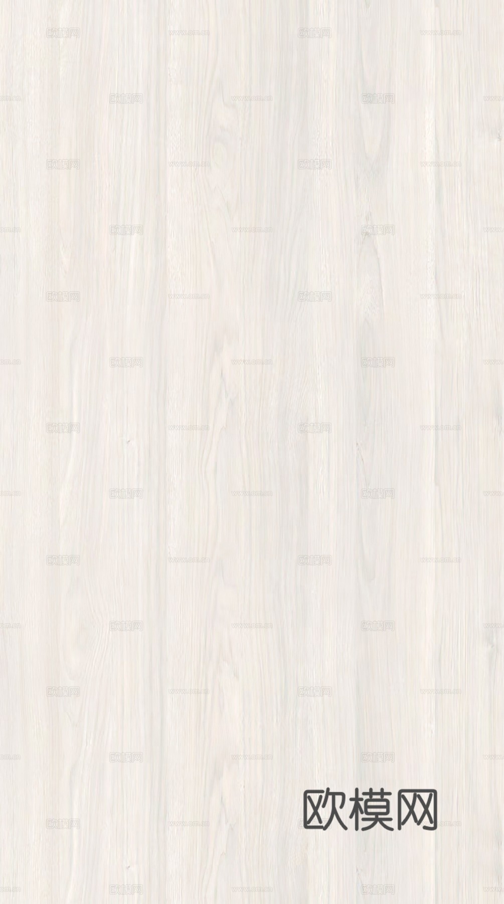 现代奶油白蜡木 浅色橡木木饰面 浅色木纹