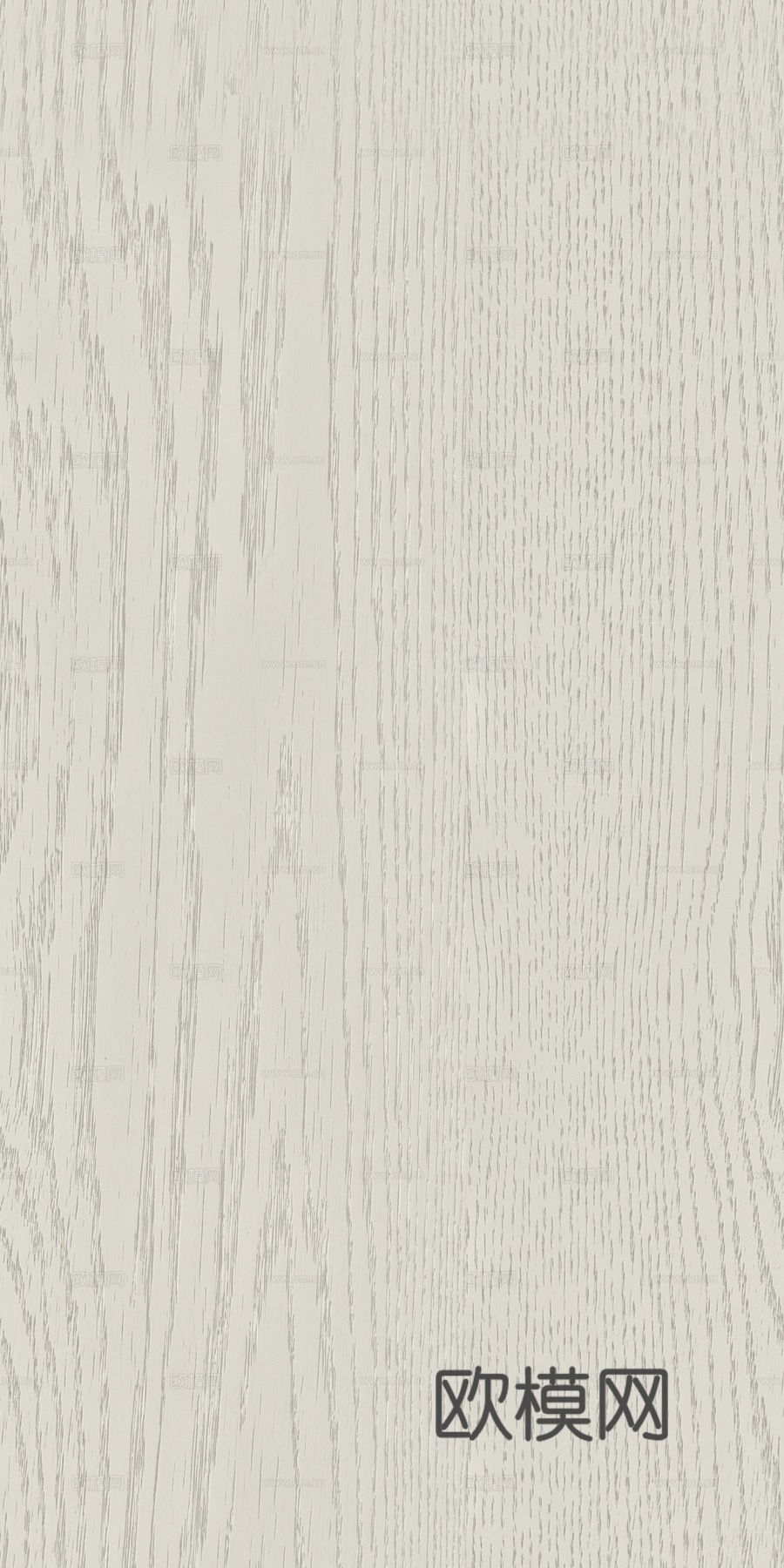 现代奶油白蜡木 浅色橡木木饰面 浅色木纹