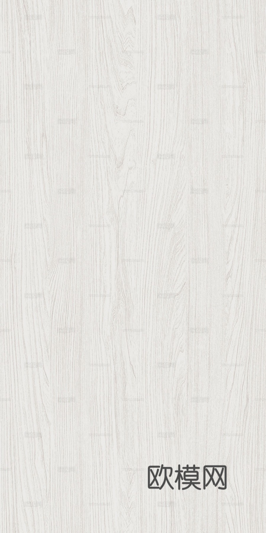 现代奶油白蜡木 浅色木纹 浅色橡木木饰面
