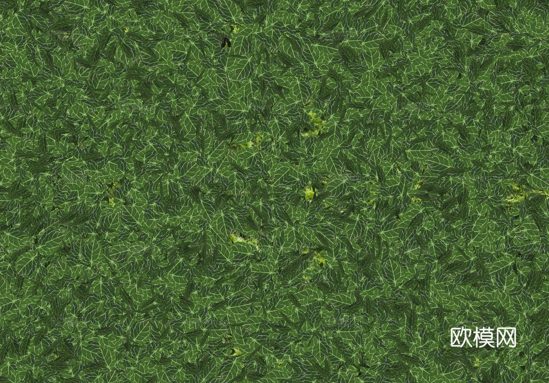 植物墙 植物背景墙 植物装饰墙 绿植墙 垂挂植物 绿植 室内su模型下载（渲染图2）