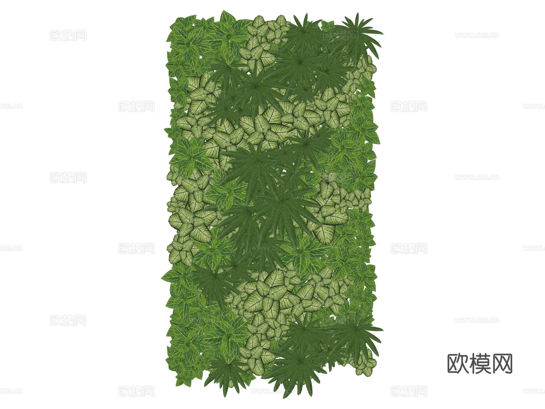 绿植墙 植生墙 绿墙su模型下载（渲染图2）