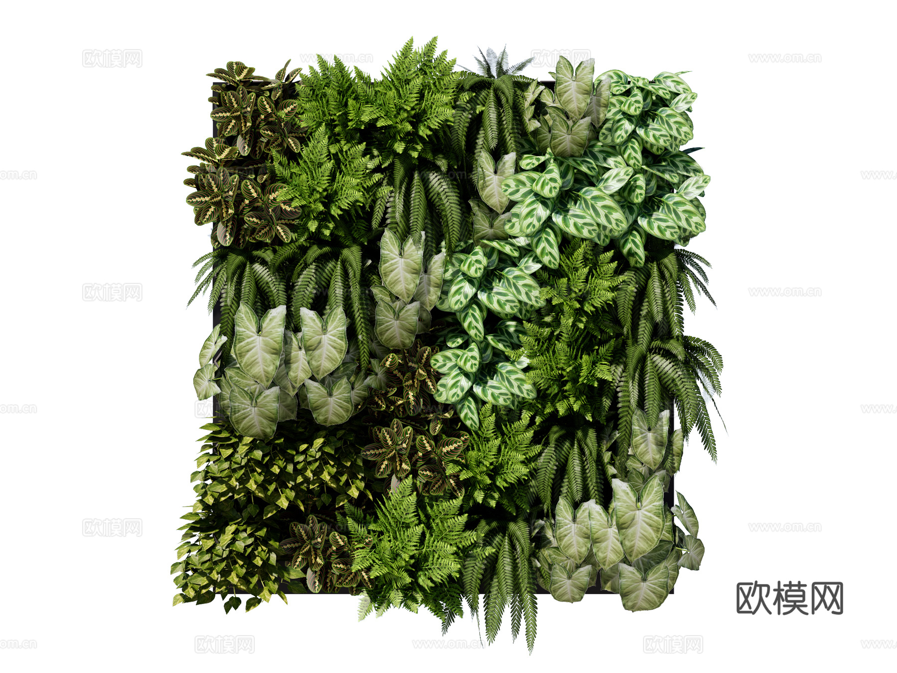 绿植墙 植生墙 绿墙su模型下载（渲染图1）