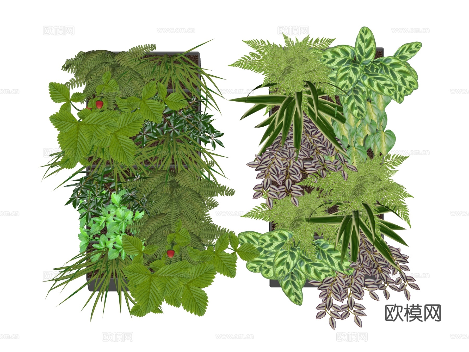 绿植墙 植生墙 绿墙su模型下载（渲染图2）