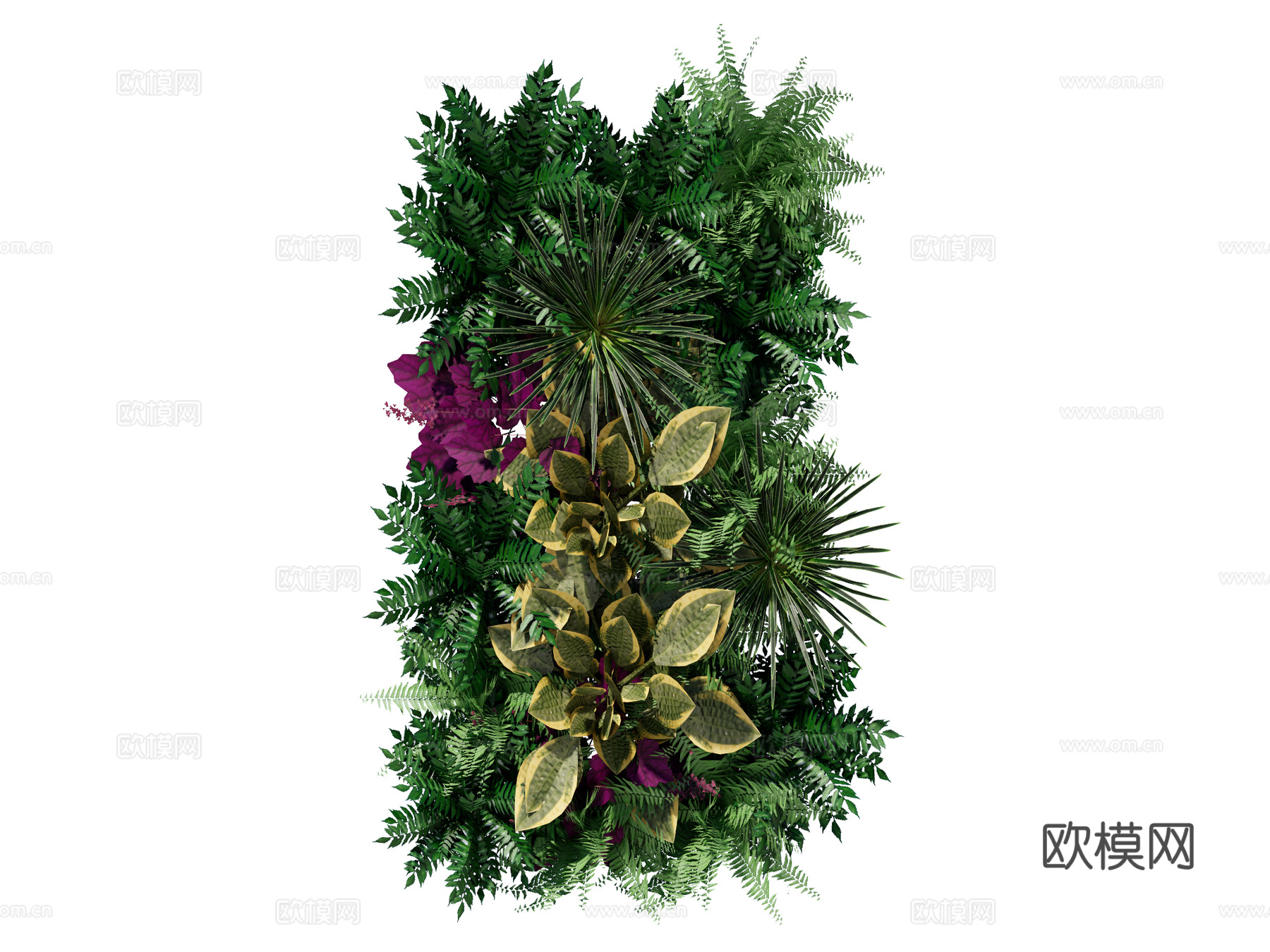 绿植墙 植生墙 绿墙su模型下载（渲染图1）