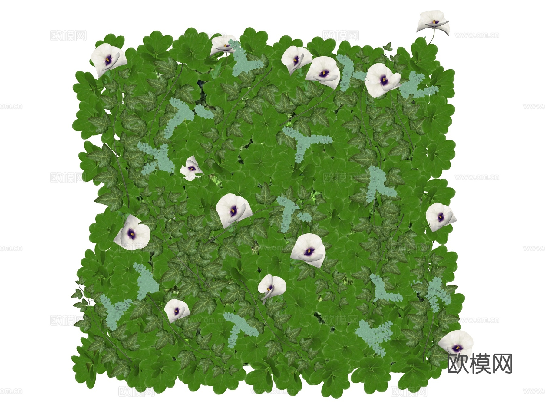绿植墙 植生墙 绿墙su模型下载（渲染图2）
