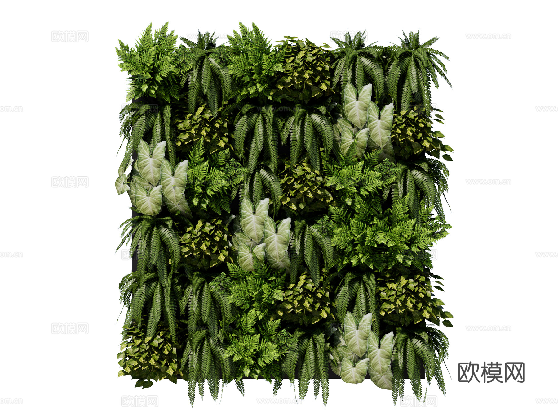 绿植墙 植生墙 绿墙su模型下载（渲染图1）