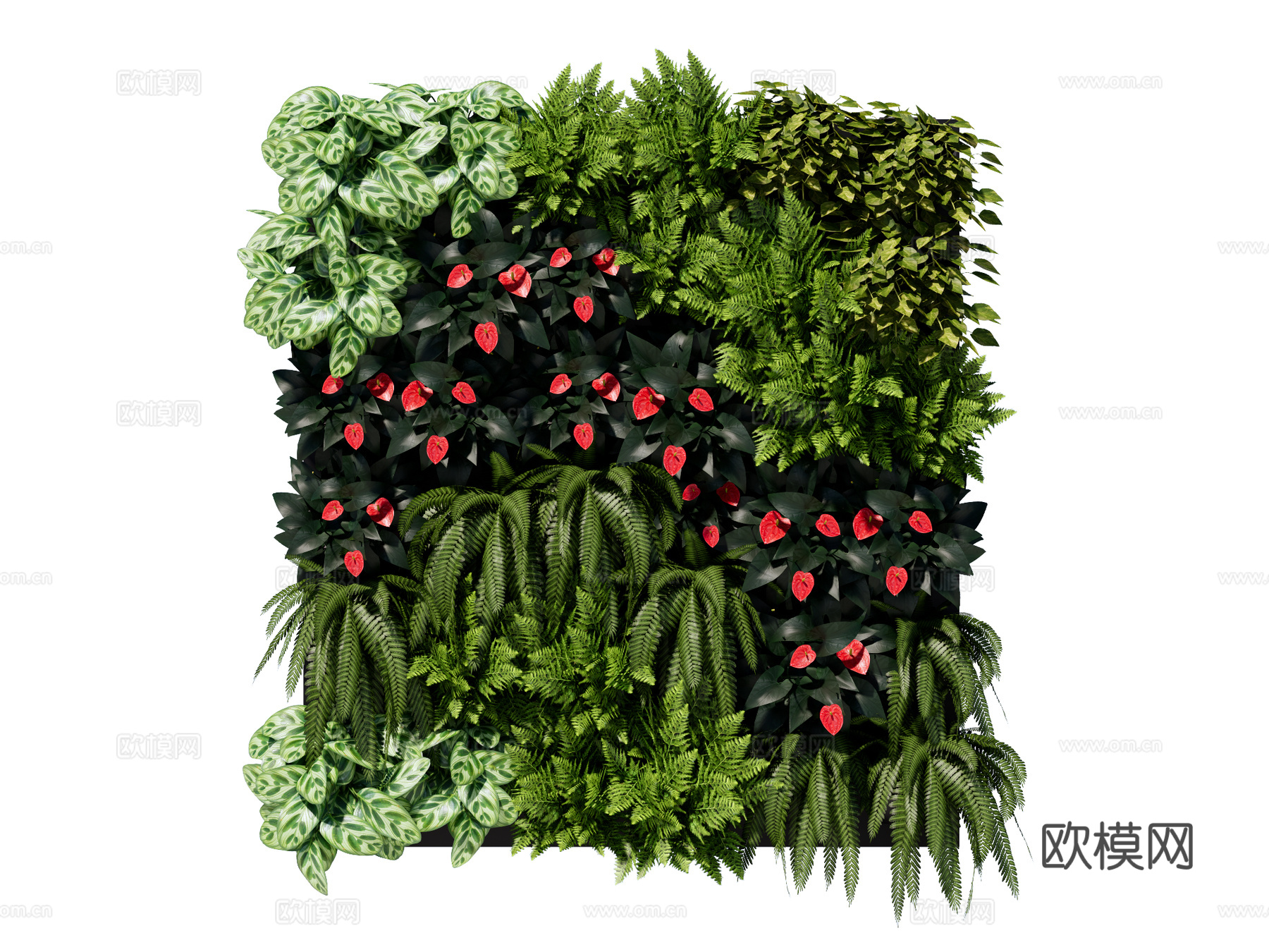 绿植墙 植生墙 绿墙su模型下载（渲染图1）