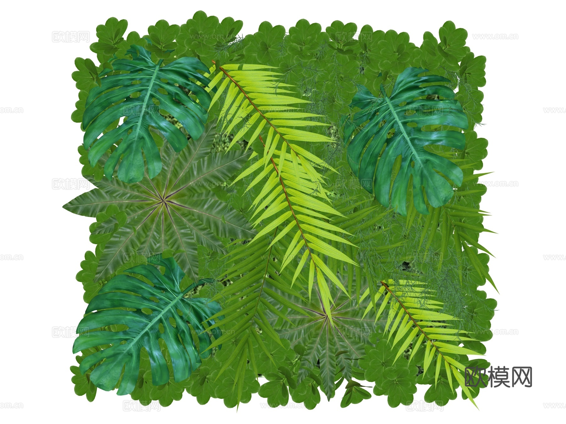 绿植墙 植生墙 绿墙su模型下载（渲染图2）
