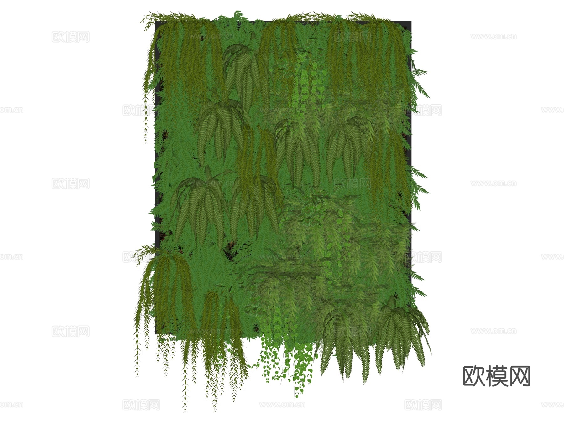 绿植墙 植生墙 绿墙su模型下载（渲染图2）