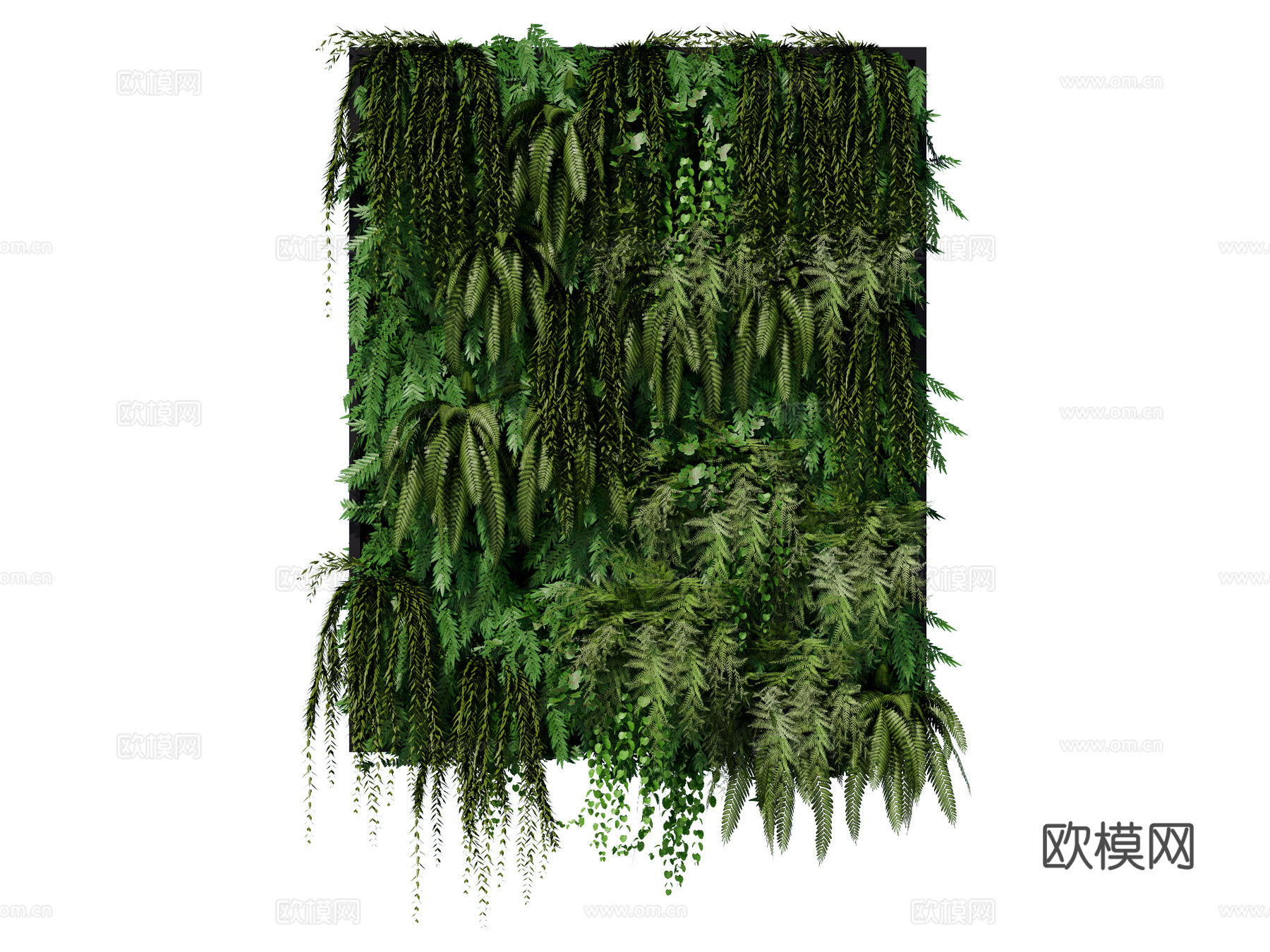 绿植墙 植生墙 绿墙su模型下载（渲染图1）