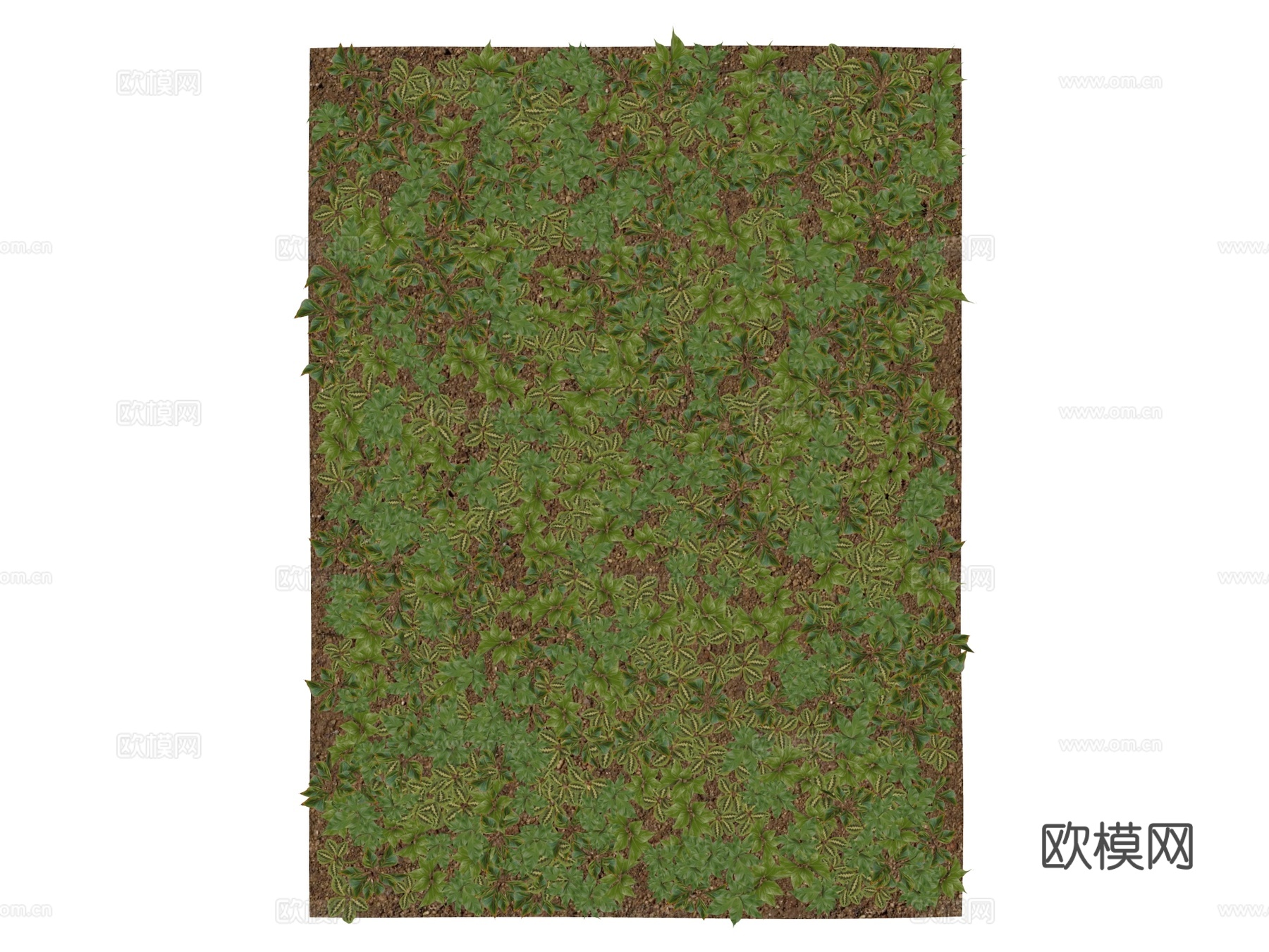 绿植墙 植生墙 绿墙su模型下载（渲染图2）