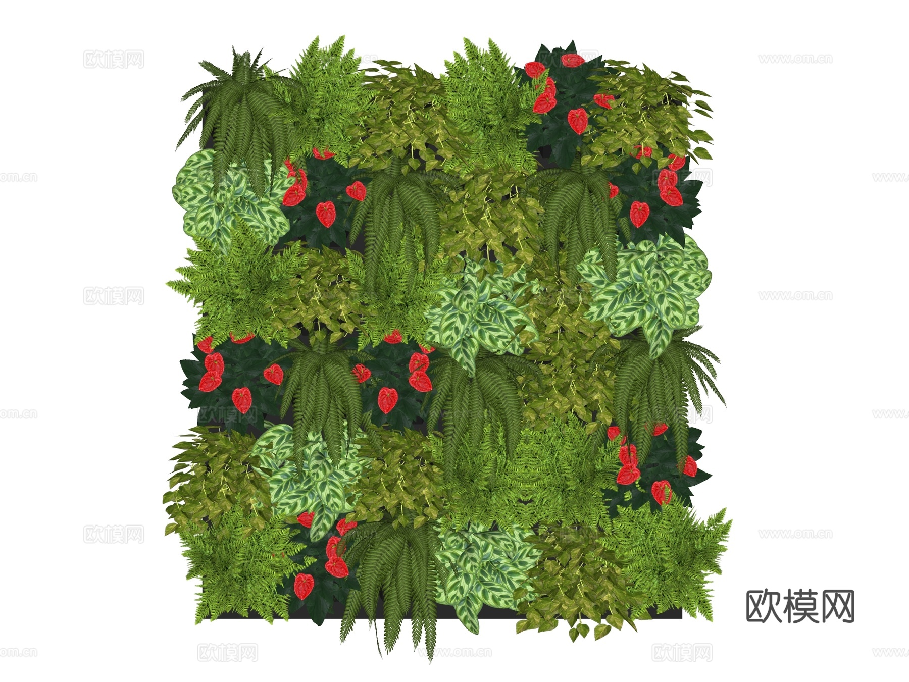 绿植墙 植生墙 绿墙su模型下载（渲染图2）