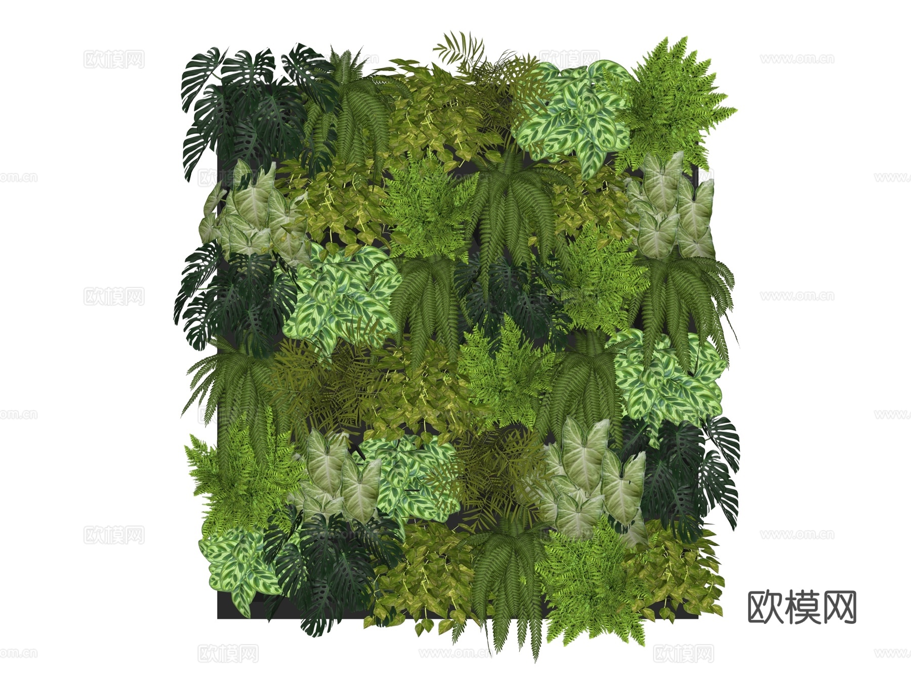 绿植墙 植生墙 绿墙su模型下载（渲染图2）