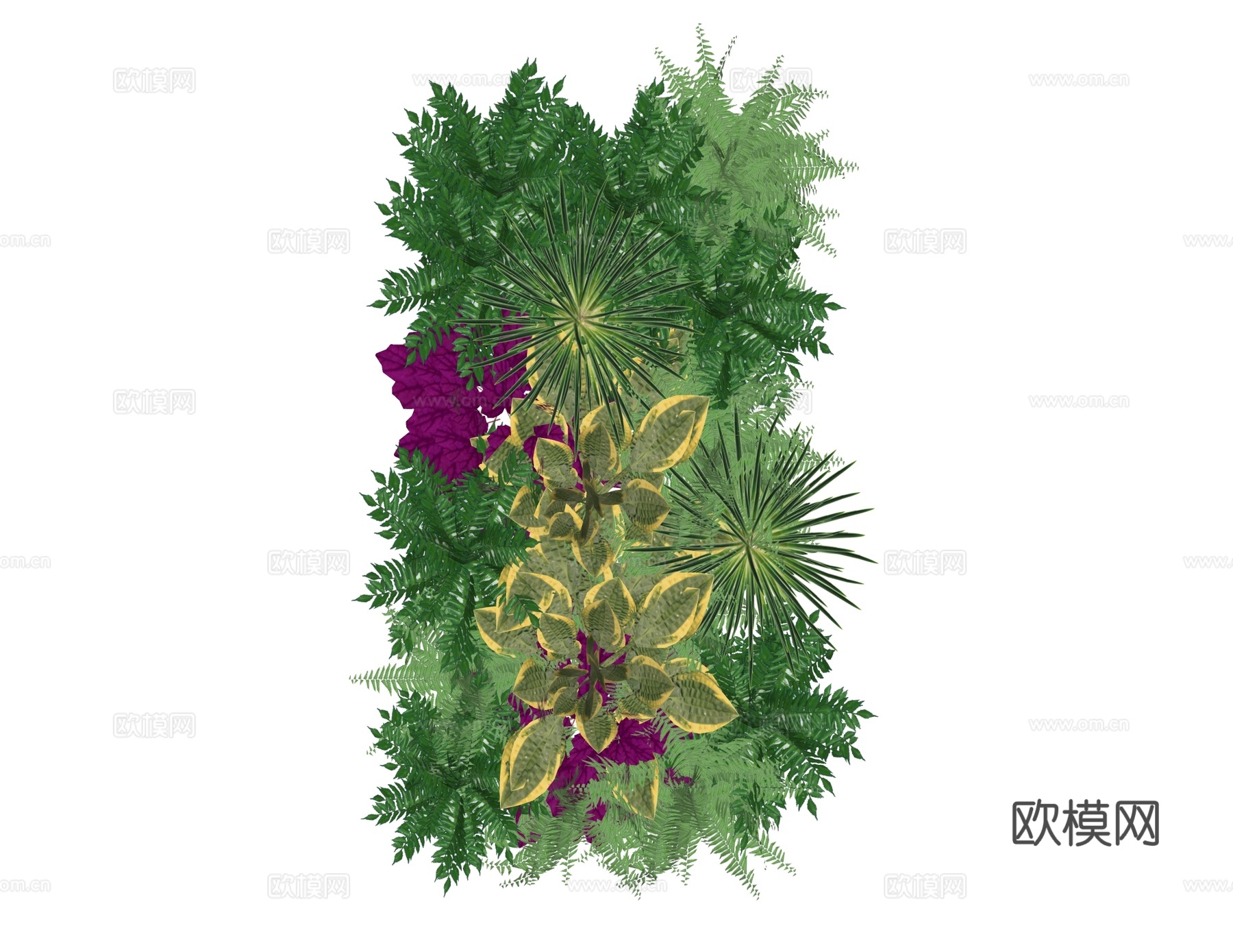 绿植墙 植生墙 绿墙su模型下载（渲染图2）