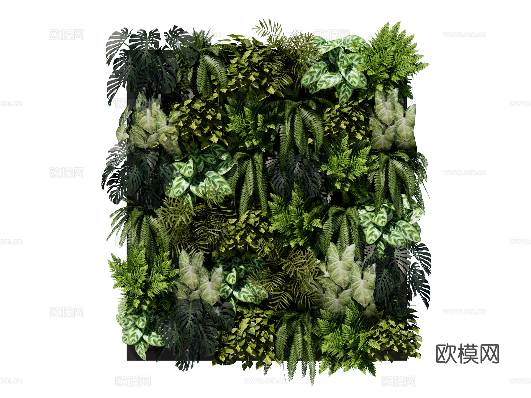 绿植墙 植生墙 绿墙su模型下载（渲染图1）
