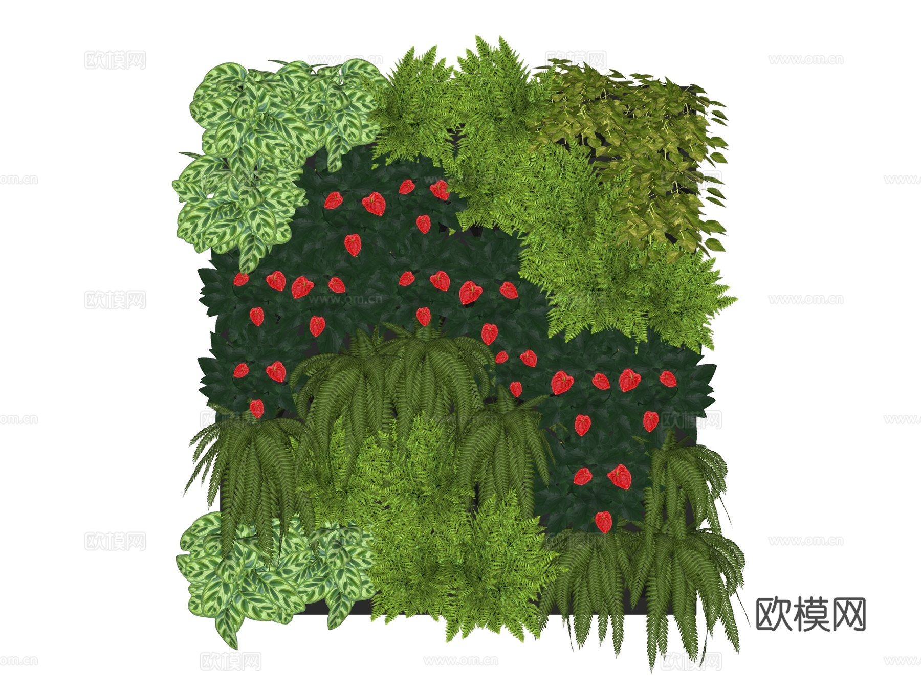 绿植墙 植生墙 绿墙su模型下载（渲染图2）