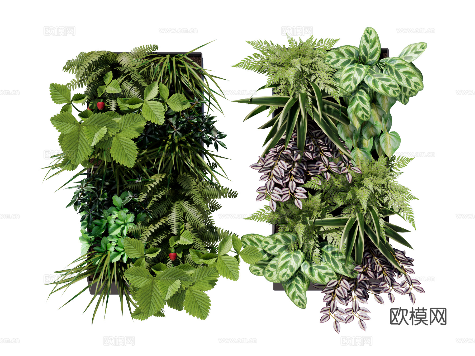 绿植墙 植生墙 绿墙su模型下载（渲染图1）