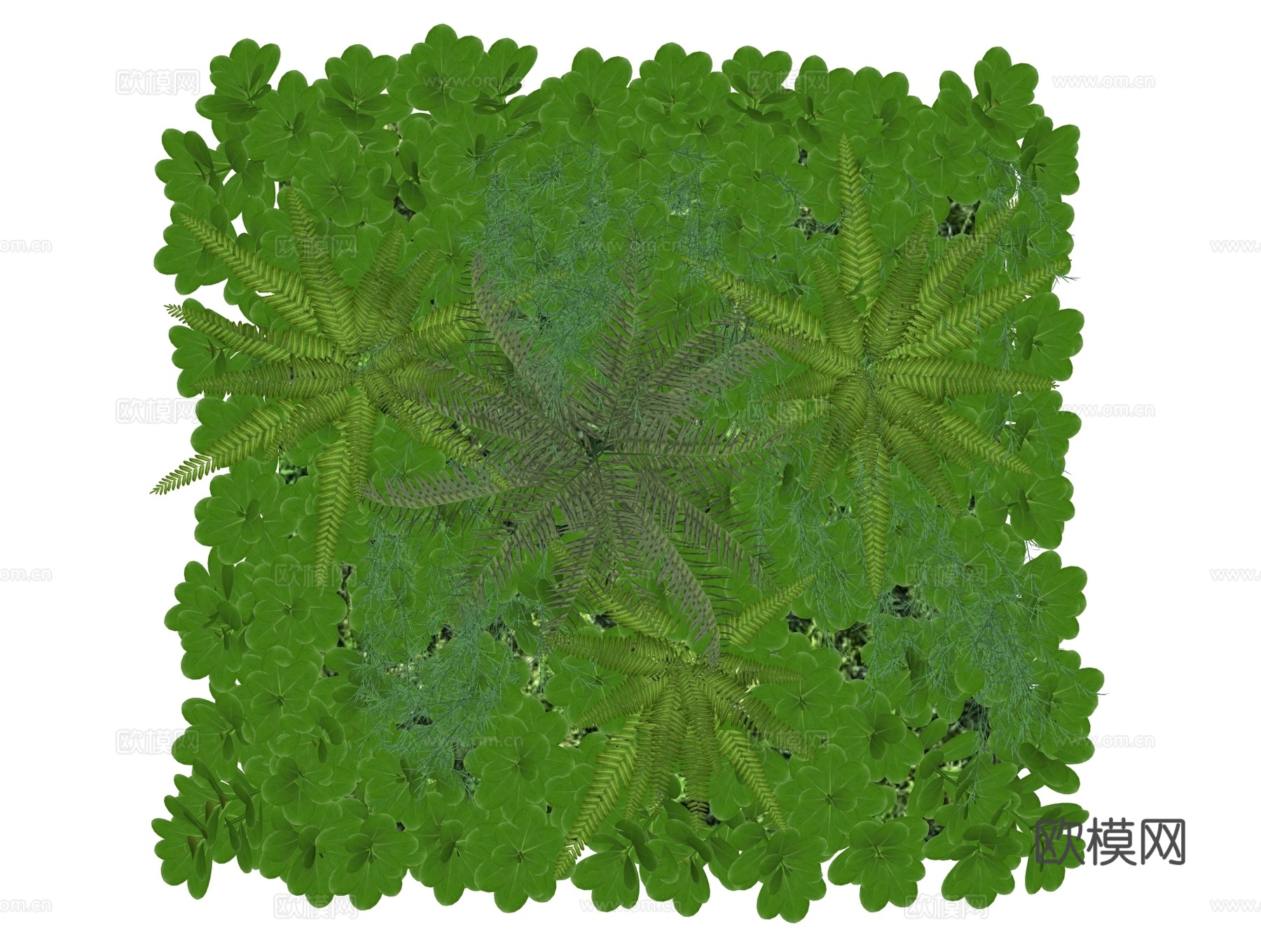 绿植墙 植生墙 绿墙su模型下载（渲染图2）