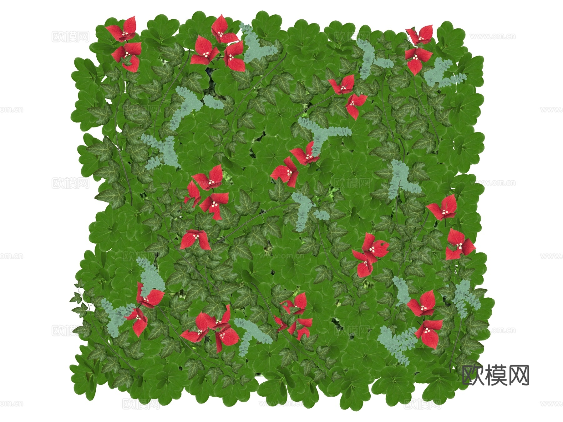 绿植墙 植生墙 绿墙su模型下载（渲染图2）